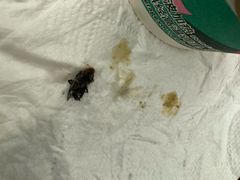 -星巴克(广州萝岗敏捷店)