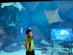 -烟台海昌鲸鲨海洋公园