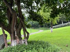 -龙头寺公园