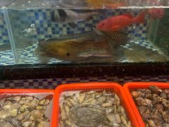 水产区-抱德·潮汕味(敦和店原惠城鱼仔)
