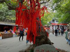 -青檀寺景区
