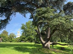 -墨尔本皇家植物园