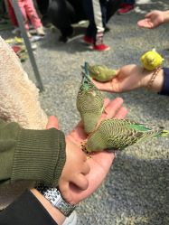 -萌宠亲子动物乐园(槐房万达店)