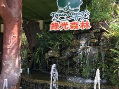 -绿光森林餐厅