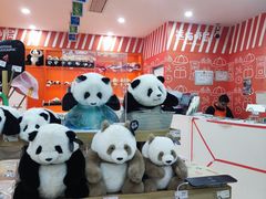 -熊猫邮局(少城店)