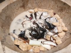 -云海肴云南菜·蒸汽石锅鱼(青岛万象城店)