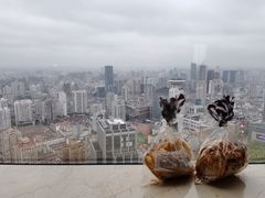 -上海明天广场JW万豪酒店