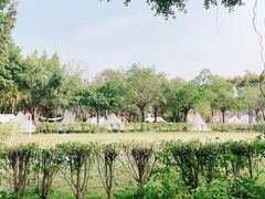 -广东花都香草世界旅游度假区