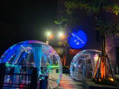 -上海崇明金茂凯悦酒店