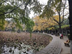 -四川大学(华西校区)