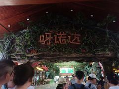 -呀诺达热带雨林