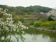 -苏州上方山国家森林公园