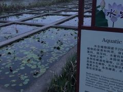 -华南国家植物园-售票处