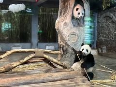-海南热带野生动植物园
