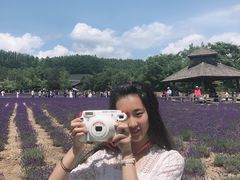 -富田农场