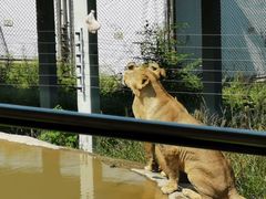-西安秦岭野生动物园