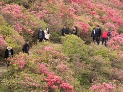 -木兰云雾山