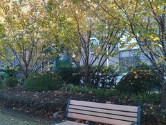 -复旦大学任重书院(光华大道店)