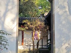-秋霞圃