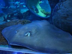 -多彩贵州城极地海洋世界