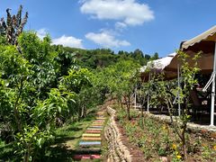 -桃源山庄·烤全羊·柴火鸡·烧烤团建(龙泉山店)