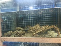 -金龙·打边炉(南京西路店)