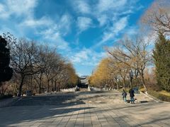 -晋祠公园