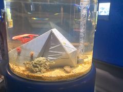-欢乐海岸海洋奇梦馆