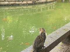 -西园戒幢律寺