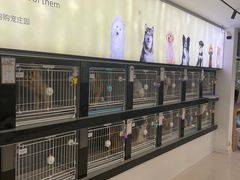-翊宠yipet猫狗购宠庄园犬舍•猫舍