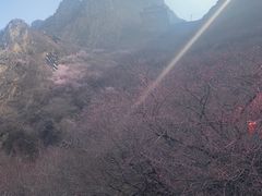 -鸡鸣山旅游景区