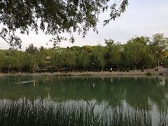 -申德勒加油站餐厅(三里屯北小街店)