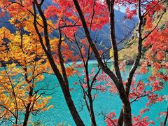 -叠溪松坪沟景区