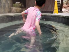 -宁海森林温泉