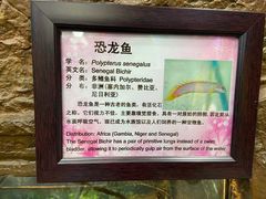 -上海大自然野生昆虫馆(东方明珠·爬宠昆虫探索中心)