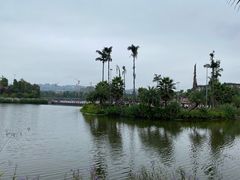 -枫香湖儿童公园
