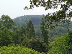 -南国桃园旅游度假区