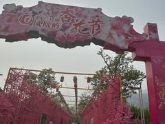 -北京凤凰岭