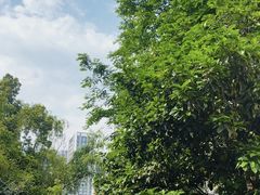 -洋湖国家湿地公园