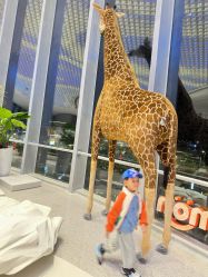 -IMON·HANSA潮玩玩偶毛绒玩具(通州万象汇店)