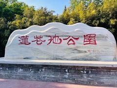 -莲花池公园