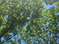 -黑龙江省森林植物园