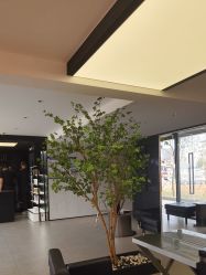 -付军剪艺JF ProSalon