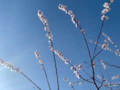 -龙泉峪长城