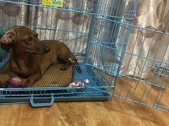 -转角宠物(转塘方家苑店)