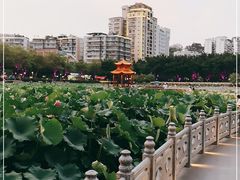 -潘塘公园
