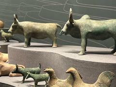 -广西壮族自治区博物馆