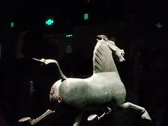 -甘肃省博物馆
