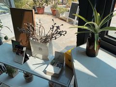 -隹木咖啡馆(宝龙广场店)