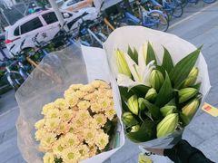 -循礼门鲜花花市(武汉循礼门店)